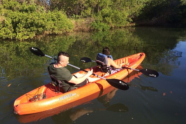 Tamarindo river guided kayak mangrove & environment watching tour in Guanacaste - Photo 1 of 13